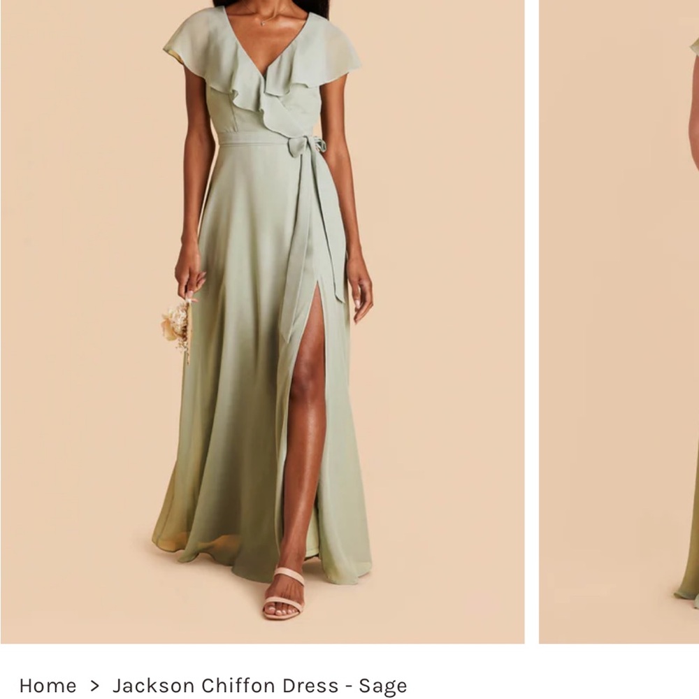 Birdy Grey Jackson Chiffon Dress in Soft Green